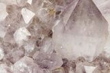 Cactus Quartz (Amethyst) Crystal Cluster - South Africa #206259-1
